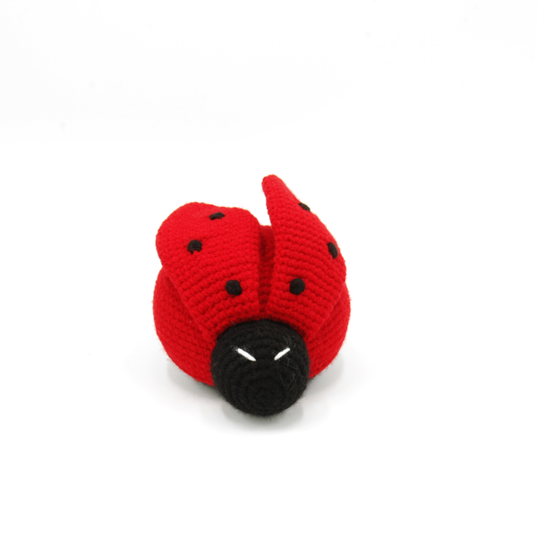 Miss Lucky Ladybug